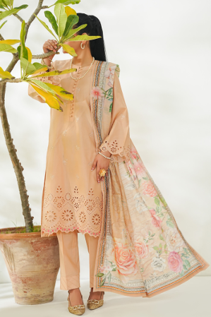 ANMOL-EMB-3PC-1884