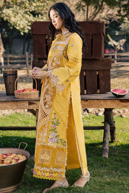 PRSH-SMR-QUN-LUX-3206