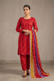 SAFINA-PL-3PC-3489
