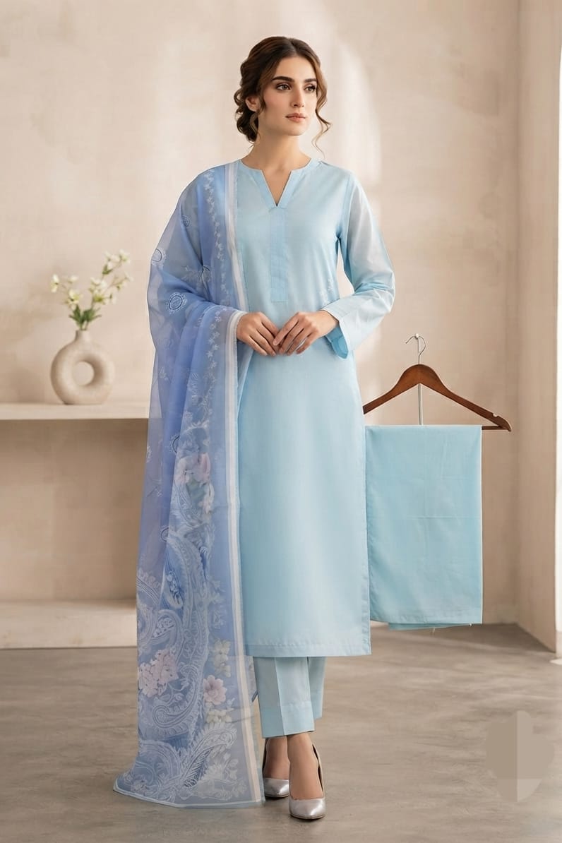 Bonanza Unstitched Mix 3pc