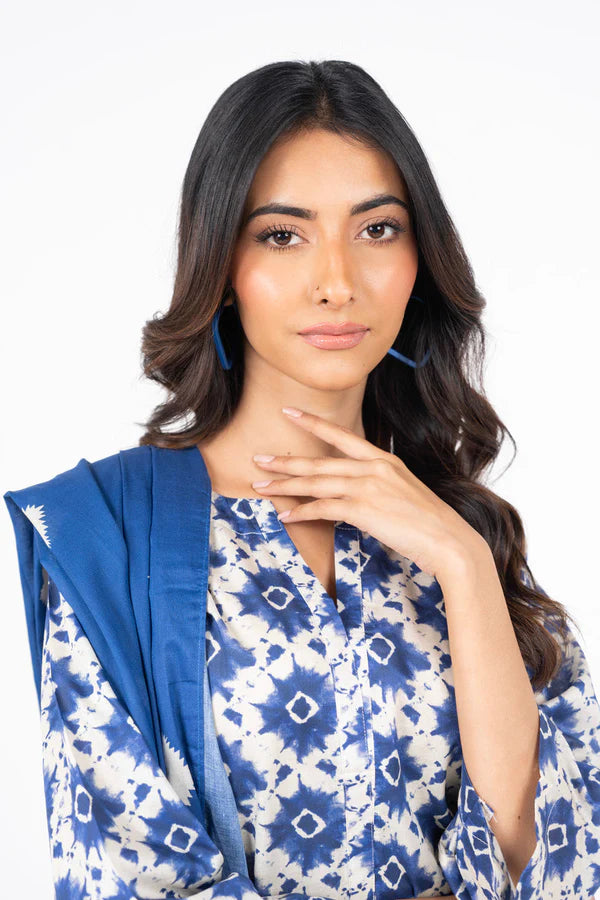 AK-P-L-3PC-ALK1010