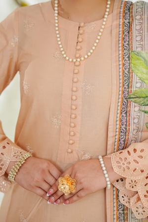 ANMOL-EMB-3PC-1884