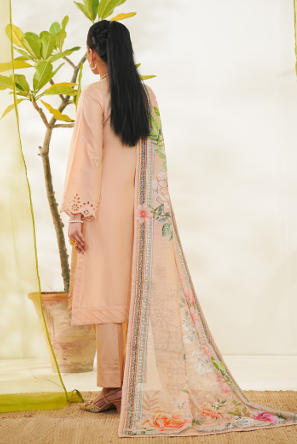 ANMOL-EMB-3PC-1884
