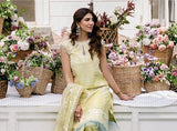BL-RIWAAYAT-3PC-Luxury-B-214