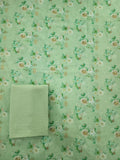 DPMIXLAWN2PC-ST-266