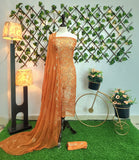 H&M-EMB-SD-CHIFFON-2PC-D-61