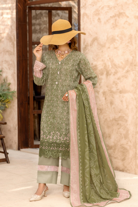 HFZ-NAIRA-EMB-3410