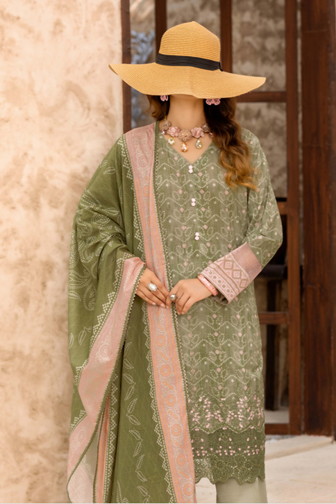 HFZ-NAIRA-EMB-3410