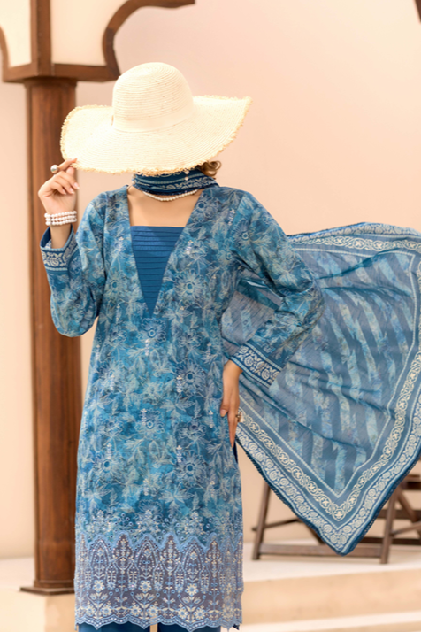 HFZ-NAIRA-EMB-3413