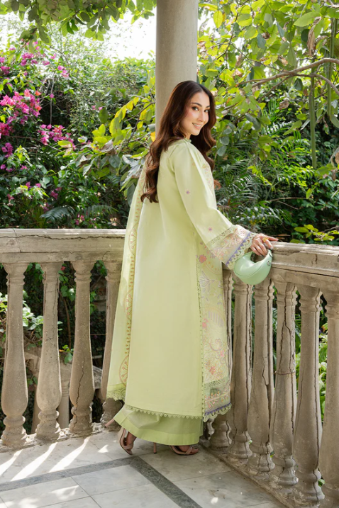 MHNR-AMAYA-LUX-5211