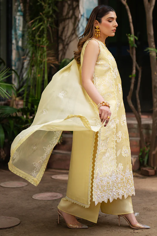 MHNR-SATRANGI-LUX-4665
