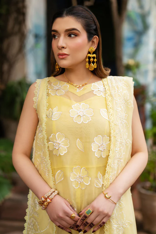 MHNR-SATRANGI-LUX-4665