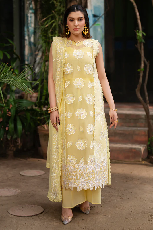 MHNR-SATRANGI-LUX-4665