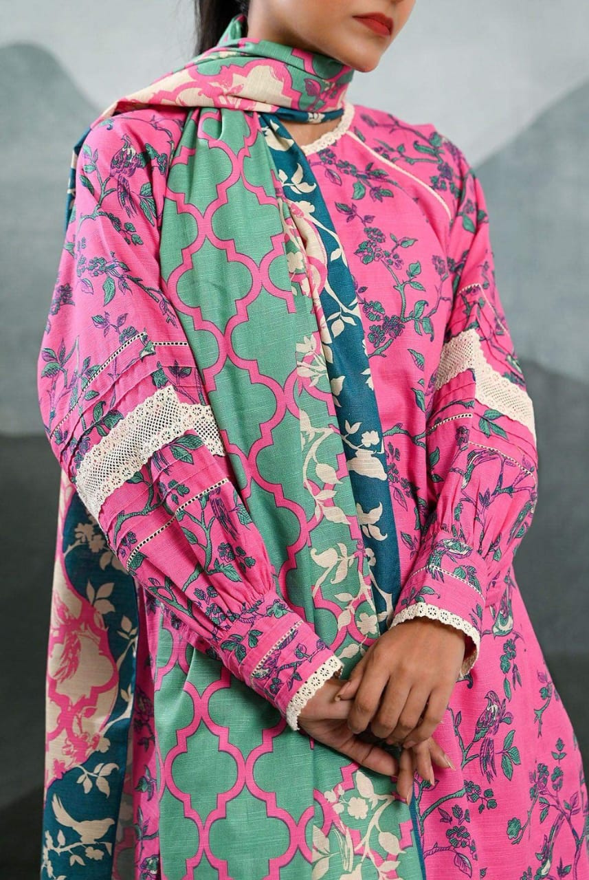 Mizaj Stitched Printed Khaddar 3pc
