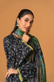 N-P-50%-L-SD-2PC-304