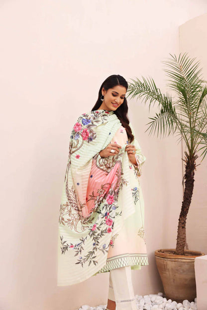 N-P-50%-L-SD-2PC-307