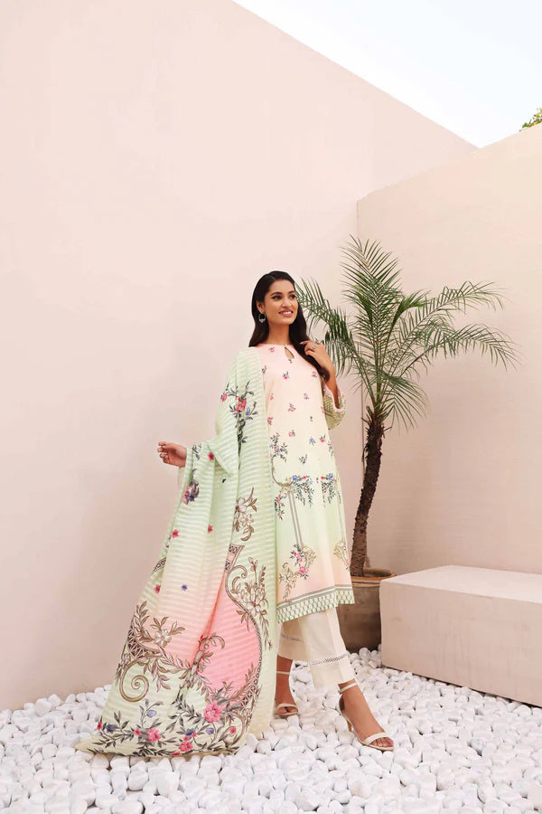 N-P-50%-L-SD-2PC-307