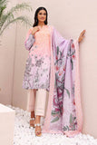 N-P-50%-L-SD-2PC-310