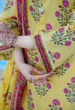 NEHAR-GUL-3PC-2732