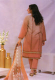 POP-AO-P-L-3PC-5019