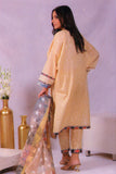 POP-AO-P-L-3PC-5046