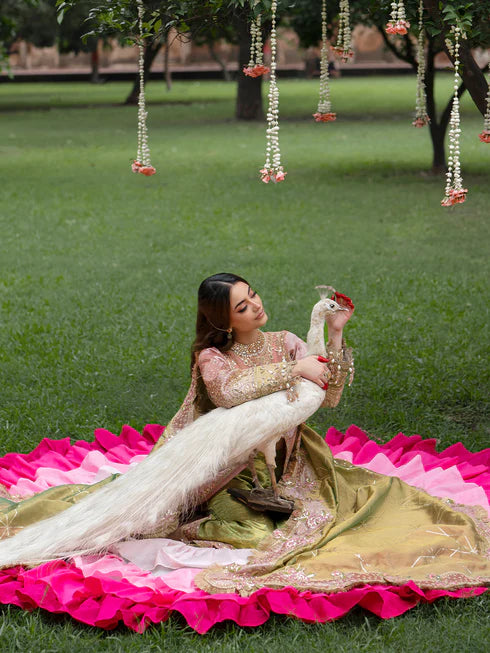 PRISHAY-RN-BAGH-03