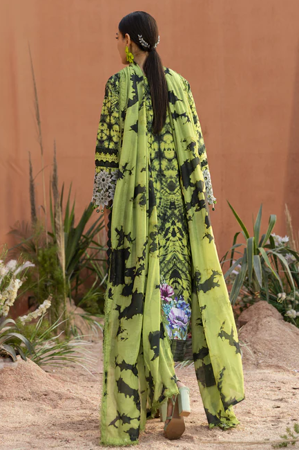 PRSH-BLM-LUX-3PC-5984