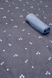 SAP232STP-307