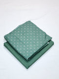 SAPP-KHDR-ST-2159