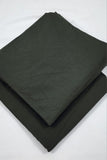 SAPP-PLAIN-L-ST-1610
