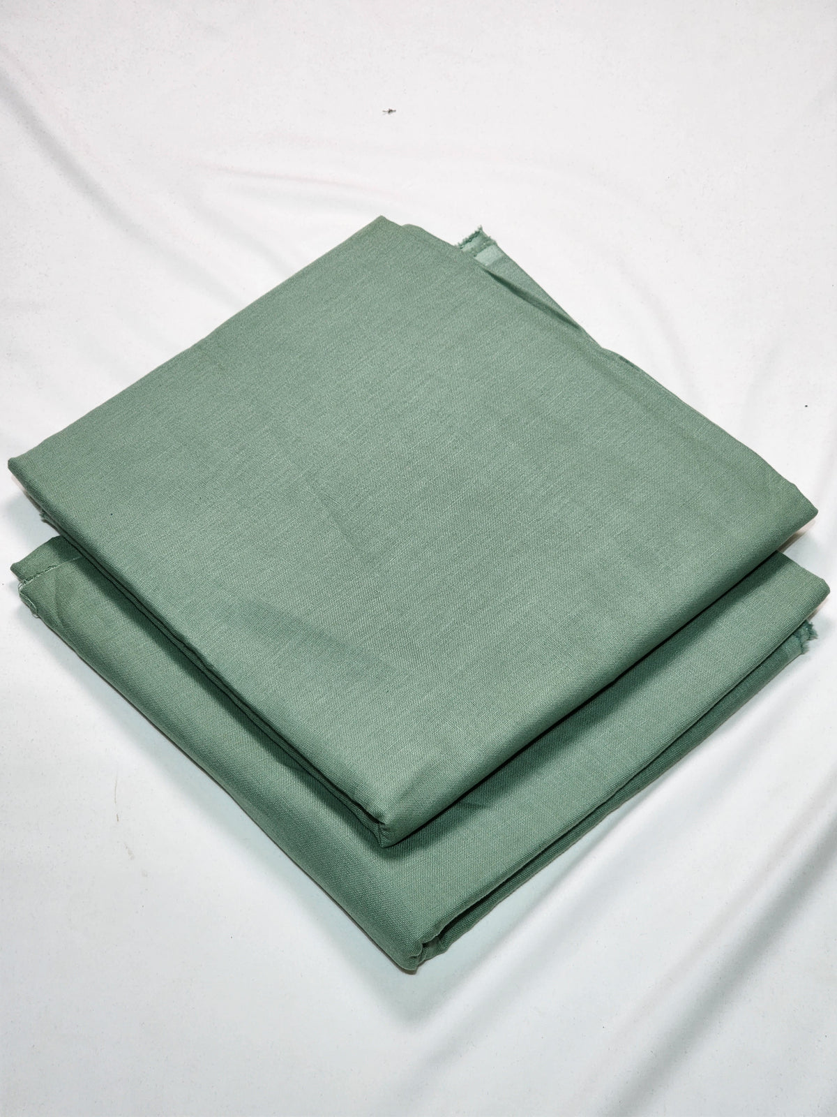 SAPP-PLAIN-ST-AO-2519