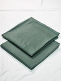 SAPP-PLAIN-ST-AO-2724