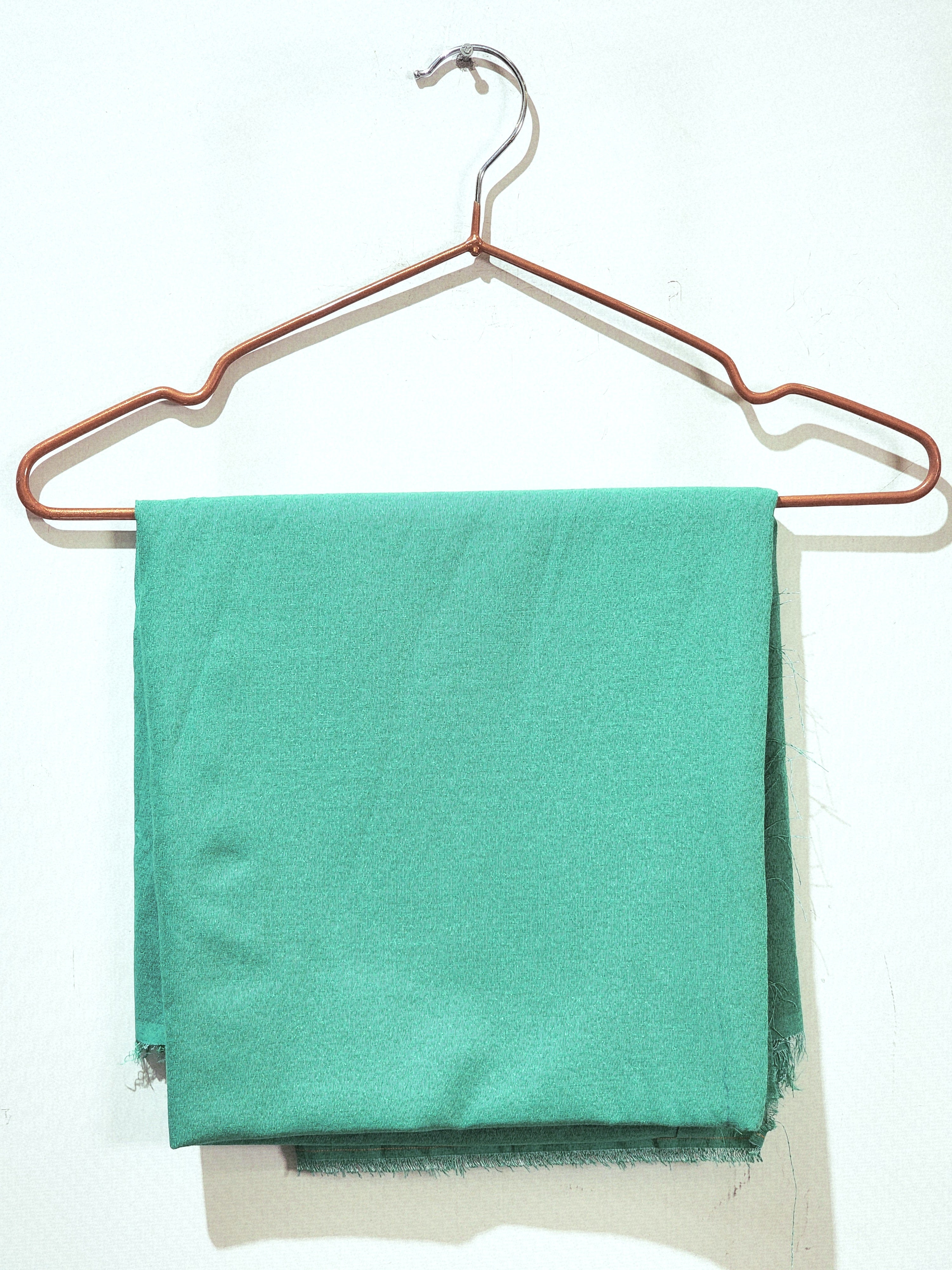 SAPP-TRSR-W-T110