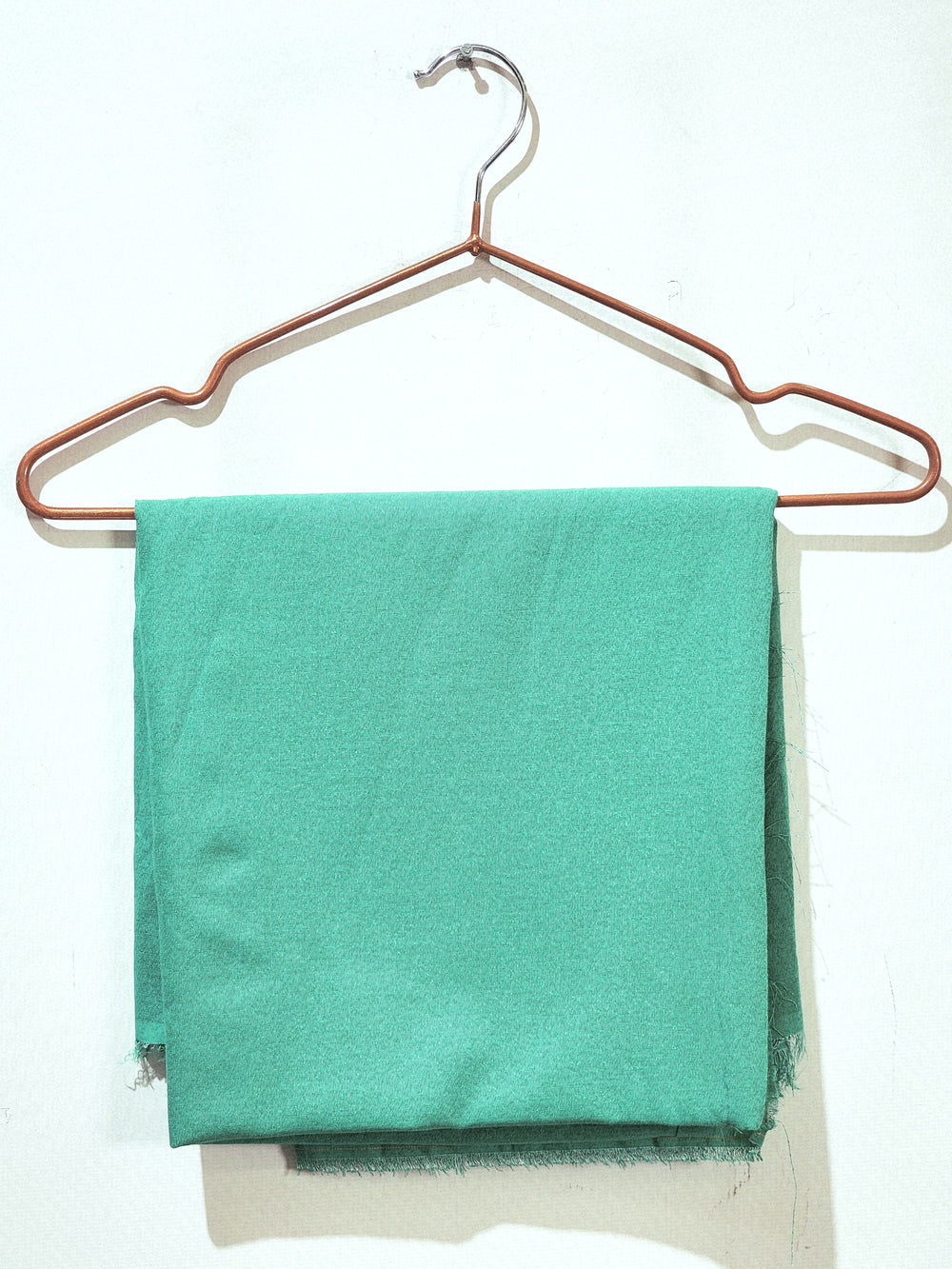 SAPP-TRSR-W-T110