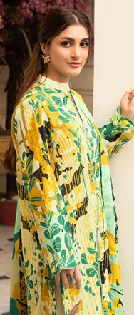 SF-NOOR-KDR-7503