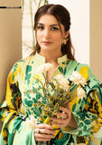 SF-NOOR-KDR-7503