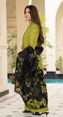 SF-NOOR-KDR-7509