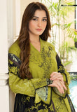 SF-NOOR-KDR-7509