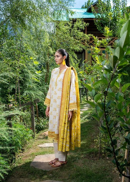 ZESH-KHDR-3PC-5204